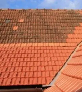 Démoussage de toiture réalisé par Follezou Couverture dans les Yvelines