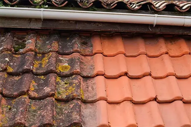 Démoussage de toiture